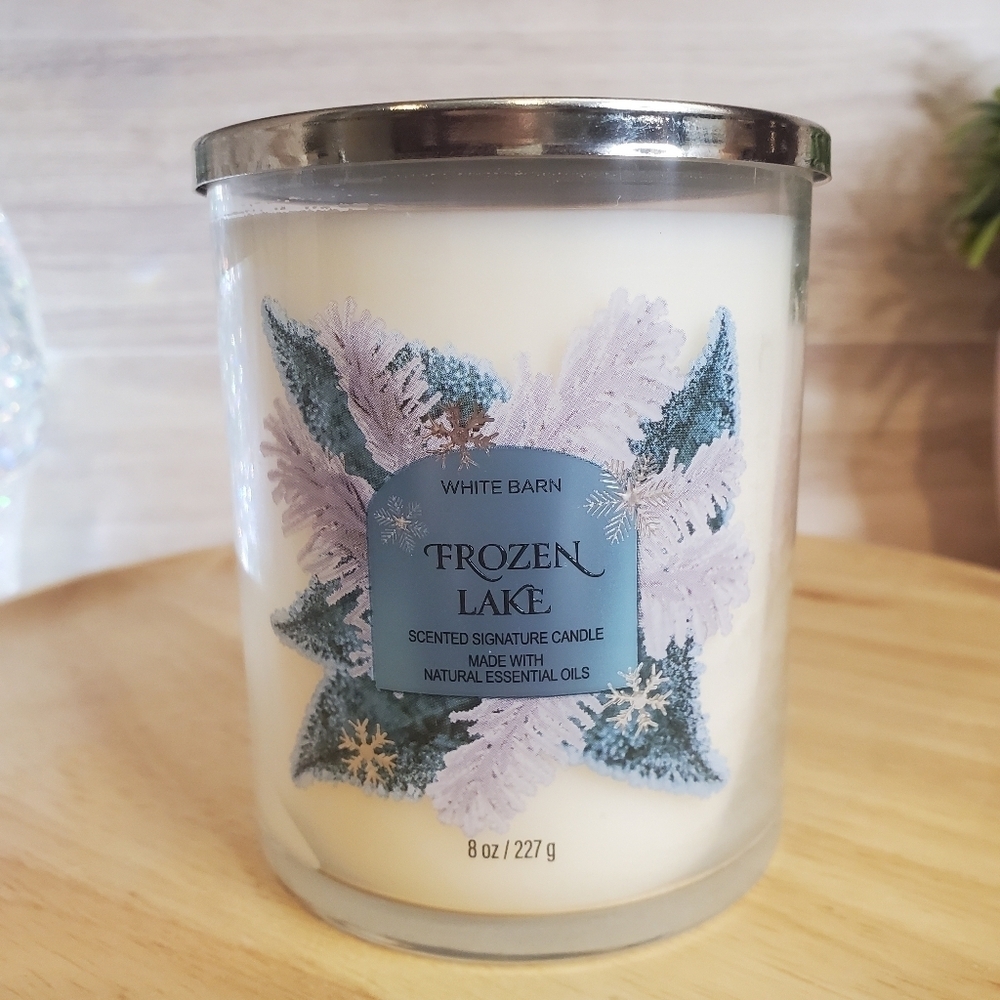 Bath and Body Works Frozen Lake Holiday Single Wick Candle NEW